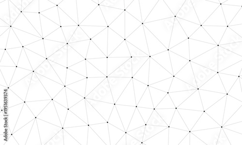 Complex geometric tessellation of irregular polygons forming an intricate network pattern