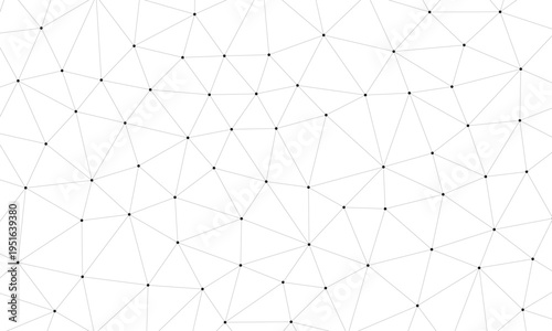 Intricate geometric tessellation composed of irregular polygonal shapes and intersecting lines