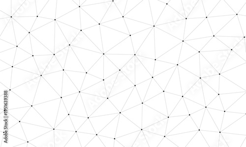 Intricate geometric tessellation of irregular polygons forming a complex mesh pattern