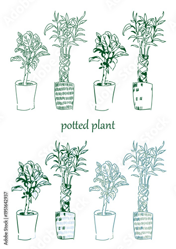 鉢植えの植物のイラストセット