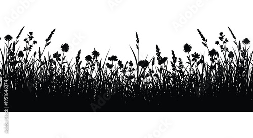 A striking black and white image depicts a field of wildflowers and grasses in stark silhouette high quality professional detailed modern