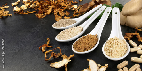 Food and Health - Medicinal Mushrooms - Healthy Nutrition