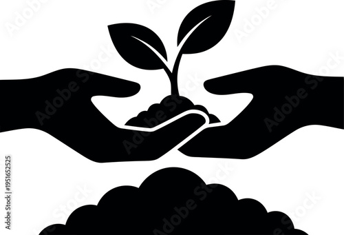 Hands nurturing a small plant in soil