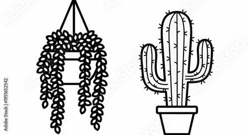 Two simple line drawings of potted plants, a hanging succulent and a potted cactus