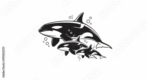 Three orcas swim together, surrounded by bubbles in the water