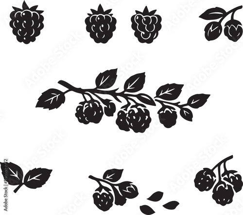 Black silhouette collection of ripe raspberries and blackberries with leaves on branches isolated