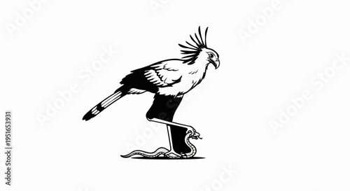 Stylized black and white illustration of a secretary bird triumphing over a snake