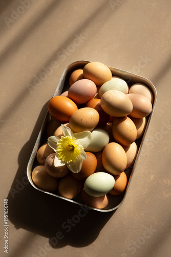 Fresh farm eggs in metal tray with daffodil in warm sunlight