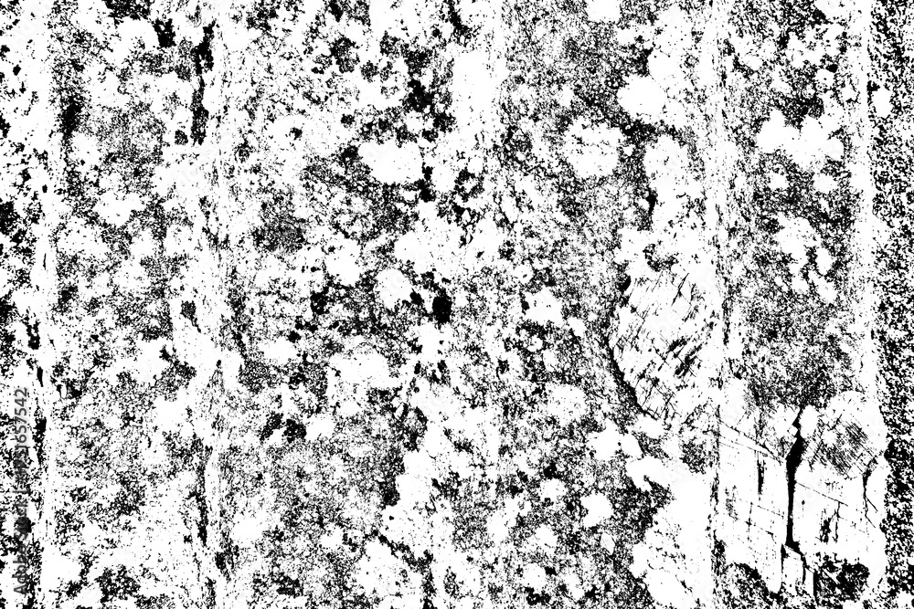 Obraz premium the abstract black and white texture of a moldy, weathered tree trunk