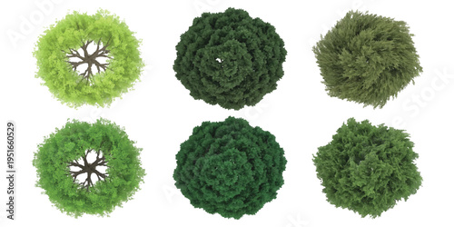 Set of top view trees for landscape design and architectural site planning vector illustration isolated on white background