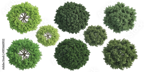 Set of various green trees top view isolated on white background for architectural landscape design vector illustration