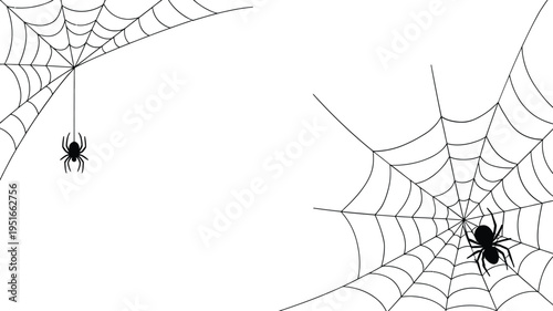 A detailed illustration of a spiderweb with two spiders suspended within