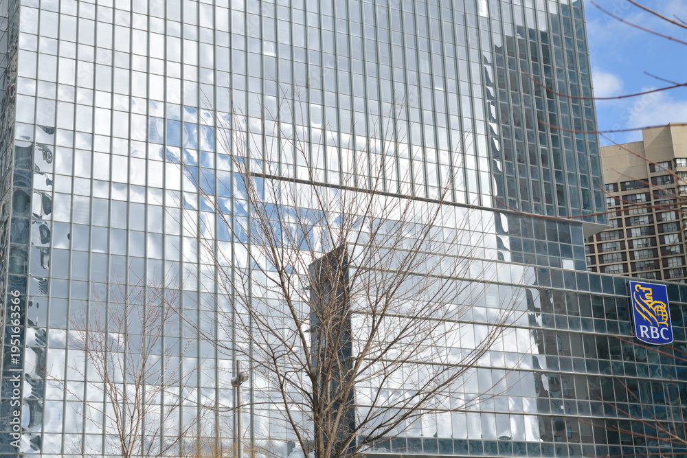 Fototapeta premium bare tree and abstract reflection of sky on the west facing elevation of RBC WaterPark Place, 88 Queens Quay W, Toronto