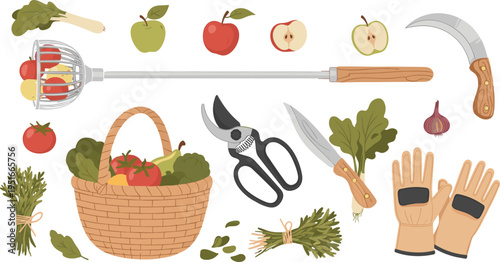 Harvesting Tools and Farm Produce Set with Fruit Picker, Pruners, Gloves, Basket, Tomatoes, Apples, Garlic, and Fresh Vegetables Illustrations