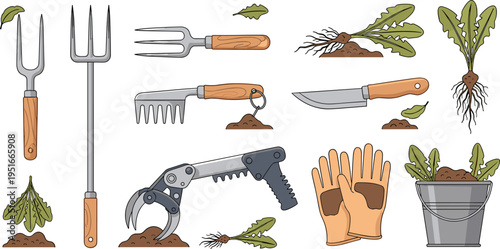 Vegetable Harvesting and Gardening Tools Set with Garden Forks, Hand Rakes, Knives, Pruning Shears, Gloves, Bucket, and Uprooted Root Vegetables Illustrations