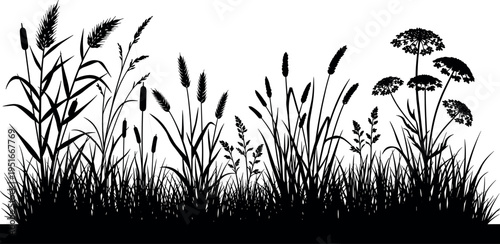 Gave me a title about this photo 'must have 20 word' for adobe stock with SEO maintain with comma

Gave me a keyword, 15 a word, 15 two word, 15 three word about this photo for adobe stock with SEO ma