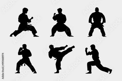 A collection of black silhouettes showing various martial arts practitioners in dynamic poses isolated on white background, Vector, illustration