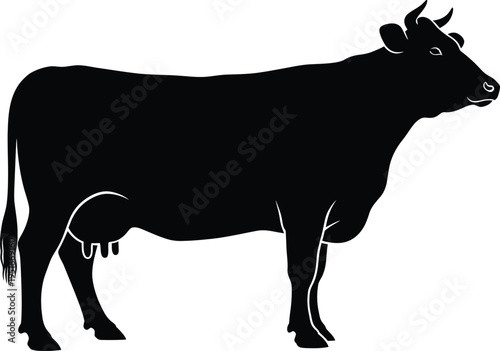 Silhouette of a black cow standing on a white background