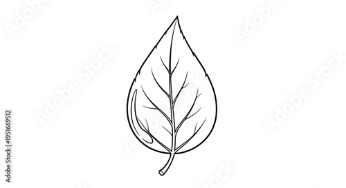 Simple Line Drawing of a Single Leaf with Detailed Veins.