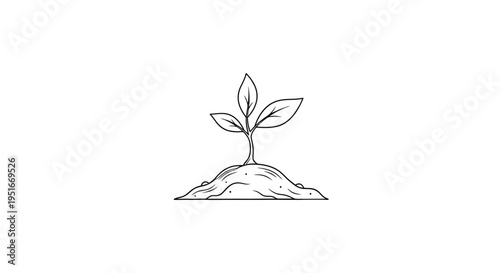 Small plant seedling growing from a mound of soil.