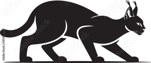 Sleek black silhouette of a fierce caracal wild cat in a focused stalking pose