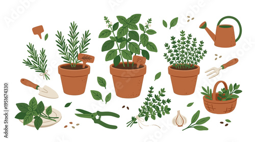 Set of Potted Herbs and Gardening Tools