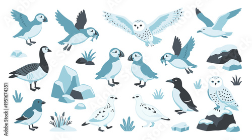 Arctic Bird Collection Featuring Puffins Owls and Geese in Flat Style