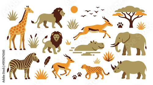 Set of African Safari Animals in Flat Style