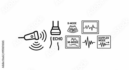 Ultrasound imagery showing a probe, echo waves, and display modes