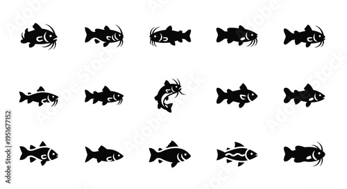 Set of catfish icons, different styles of freshwater fish with whiskers, river and pond animal symbols for fishing designs