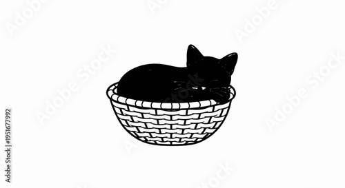 A sleeping black cat curls up cozily within a woven basket