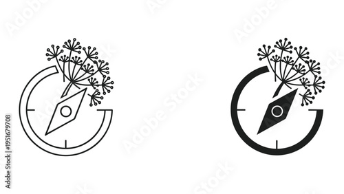 Compass Dill Flower Navigation Discovery Business