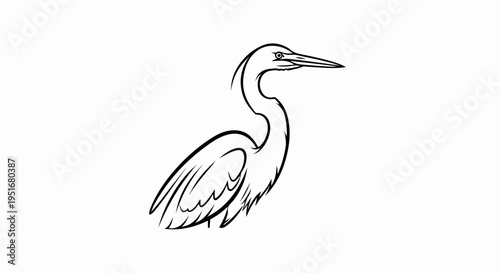 Stylized black and white line drawing of a wading bird standing