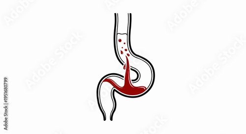 Stylized illustration of a stomach with blood flowing downwards
