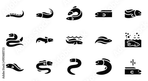 Collection of eel icons in silhouette style on white background vector