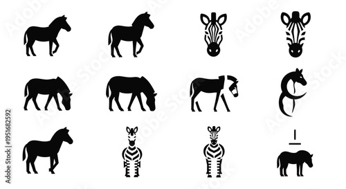 Set of zebra icons. collection of zebra linear icons