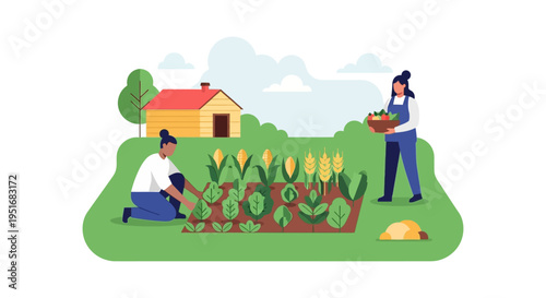 Organic Farming and Gardening Illustration: Women working together to harvest vegetables and crops in a backyard farm plot with a rural house.
