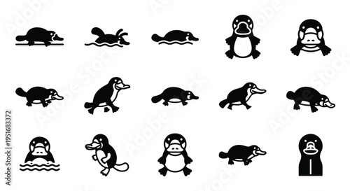 Platypus silhouettes and icons showing swimming and walking actions