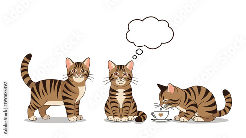 Three cute tabby cats in different poses including standing sitting and drinking milk from a white cup with a heart.