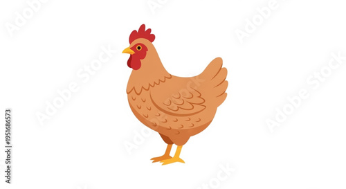 Cartoon chicken standing on white background  