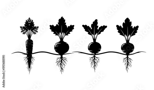 Minimal Root Vegetables Silhouette Set Featuring Carrot, Beetroot and Radish with Soil Line and Underground Roots in Clean Black Vector Illustration Style