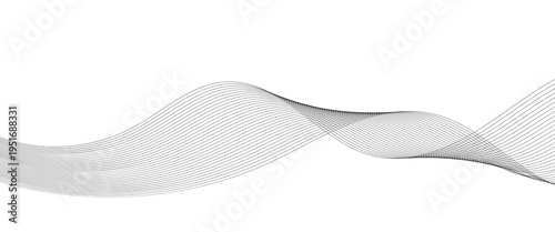 Technology abstract lines on white background. Undulate Grey Wave Swirl, frequency sound wave, twisted curve lines with blend effect. EPS10. Abstract design.
