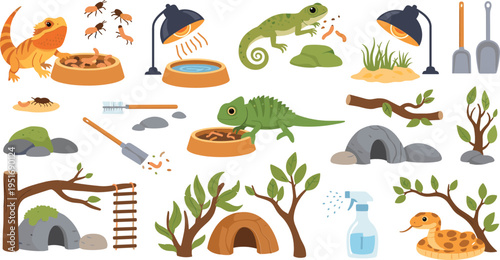 Pet reptile care set with lizard terrarium feeding heating lamps tools cartoon vector illustration collection