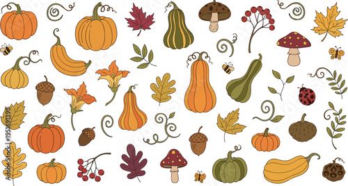 Autumn harvest elements pumpkins gourds mushrooms leaves berries and acorns decorative vector illustration set