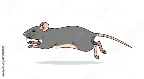 A gray cartoon mouse running quickly on a white background with light shadow
