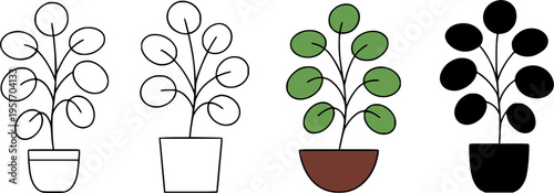 Chinese money plant illustration icon set, in outline, silhouette and color, for plant or botanical designs