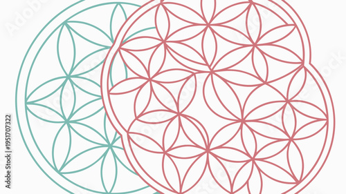 Sacred geometry, flower of life pattern. Vector background. vector icon
