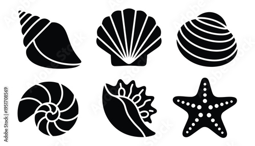 Sea Shell Black Icon Collection Clam Starfish Conch Vector