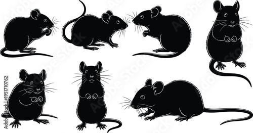Black mouse silhouette collection set featuring different rodent poses sitting standing and sniffing isolated on white background for vector illustration,