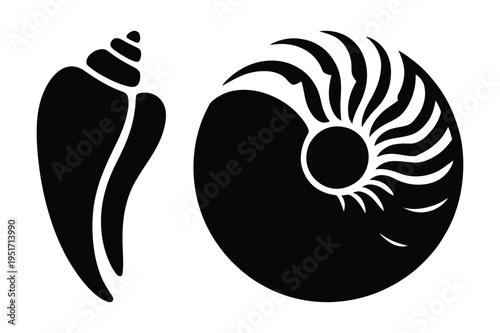 Nautilus shell and conch icon set vector illustration